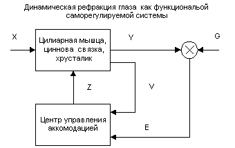 Схема аккомодации